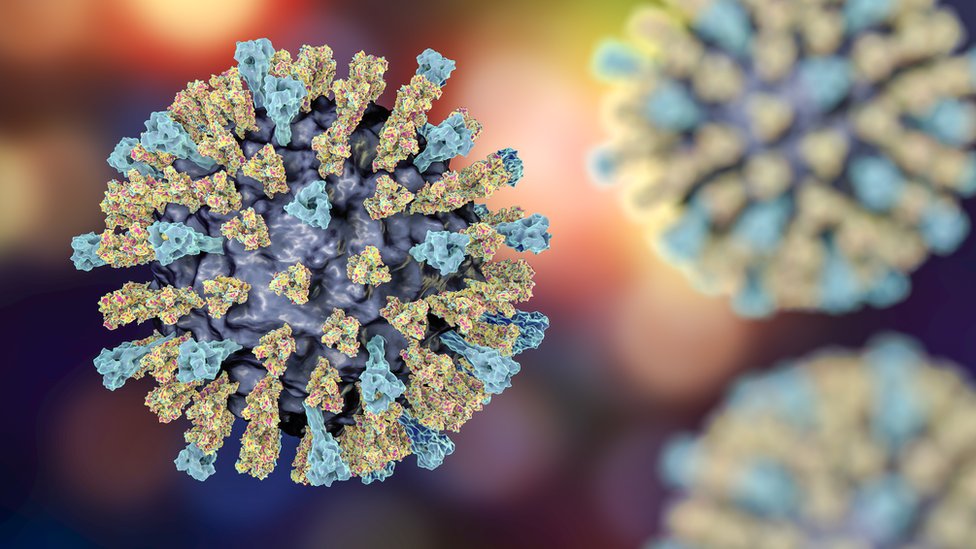 क्या measles virus वर्ग सीमाओं को पार करेगा, क्या मासूमों पर है खसरे का खतरा ?