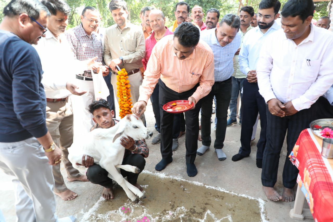 गोपाष्टमी का महापर्व जिले की सभी गौशालाओं में विधि विधान से मनाया गया,कलेक्टर ने दयोदय गौशाला पहुंचकर गौ पूजन किया