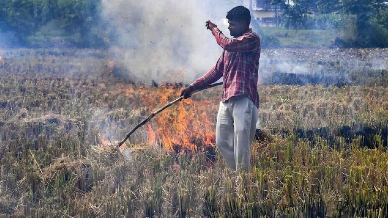 किसान हो जाएं सावधान, पराली जलाने पर देना होगा 15 हजार रुपये तक का जुर्माना