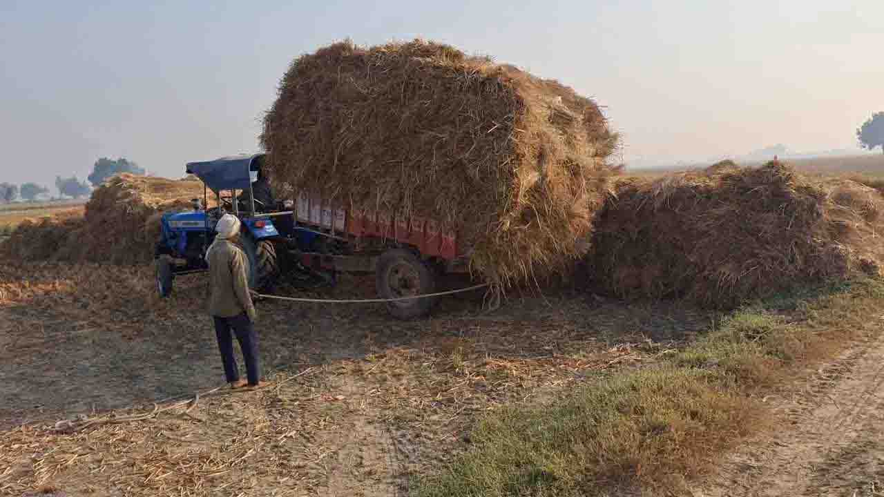 पराली से हो रही लाखों की कमाई, हरियाणा के किसानों ने निकाला व्यापार का तरीका