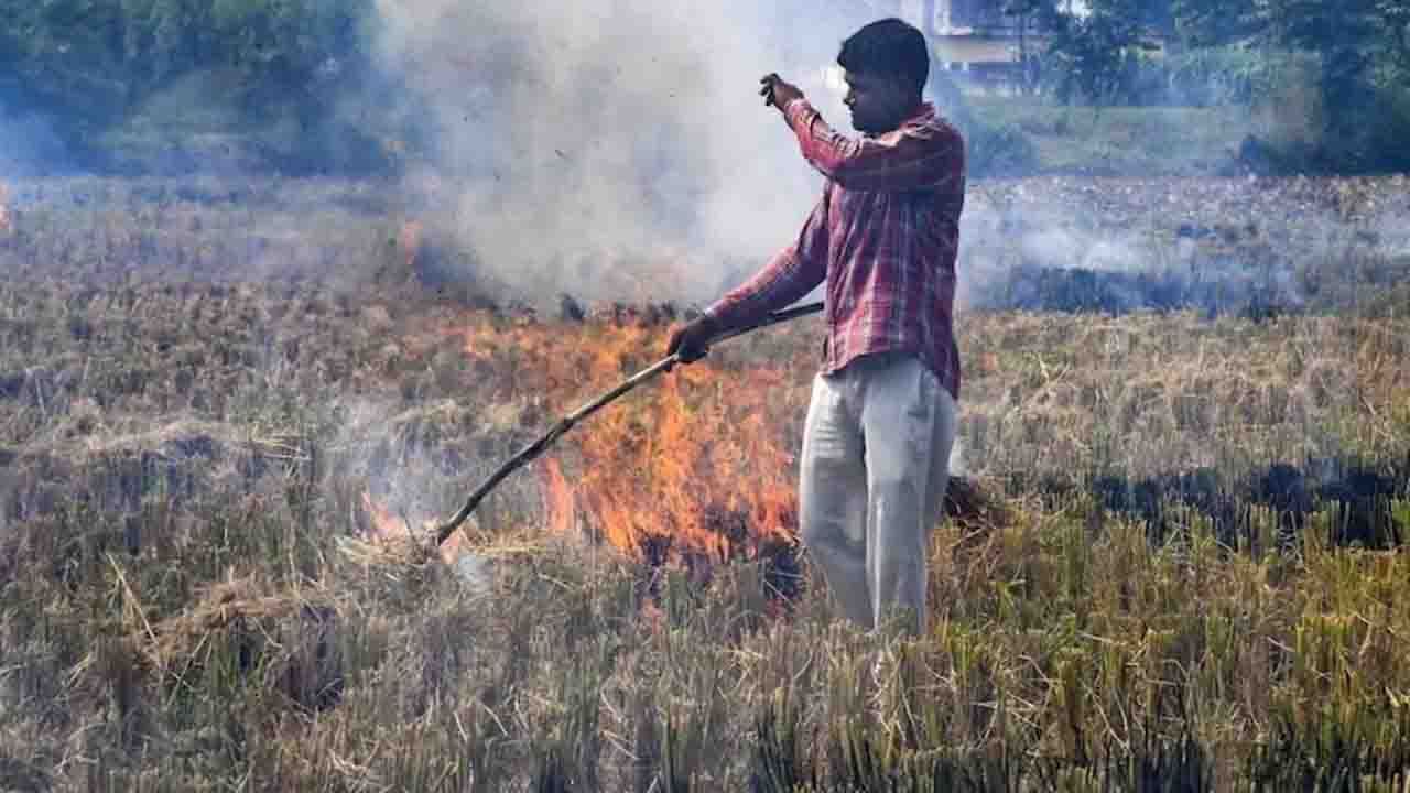 सरकार ने पराली जलाने से रोकने के लिए उठाए कड़े कदम, 32 लाख का जुर्माना और 1256 चालान