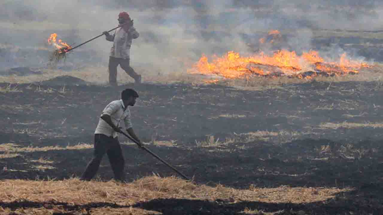 पराली जलाने वालों की खैर नहीं, अब देना होगा दोगुना तक जुर्माना, बड़ा फैसला!