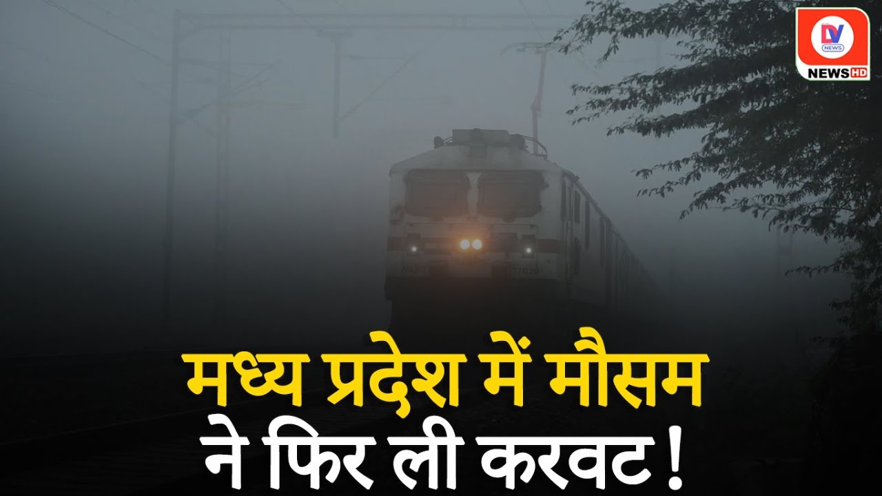 MP Weather Update: कड़ाके की ठंड और कोहरे से मिलेगी राहत?, बारिश की चेतावनी