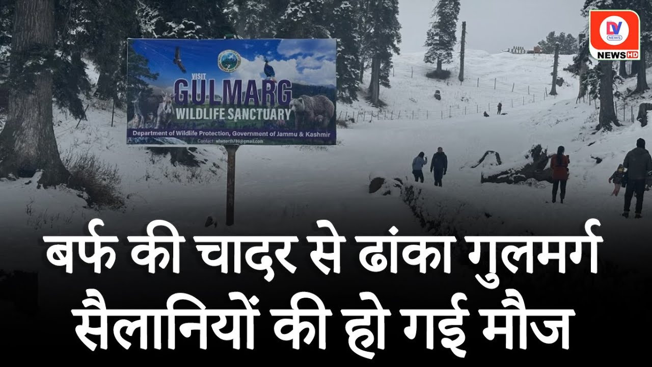 Gulmarg Snowfall: बर्फबारी से गुलजार हुआ गुलमर्ग, पूरा शहर बर्फ की सफेद चादर में ढका