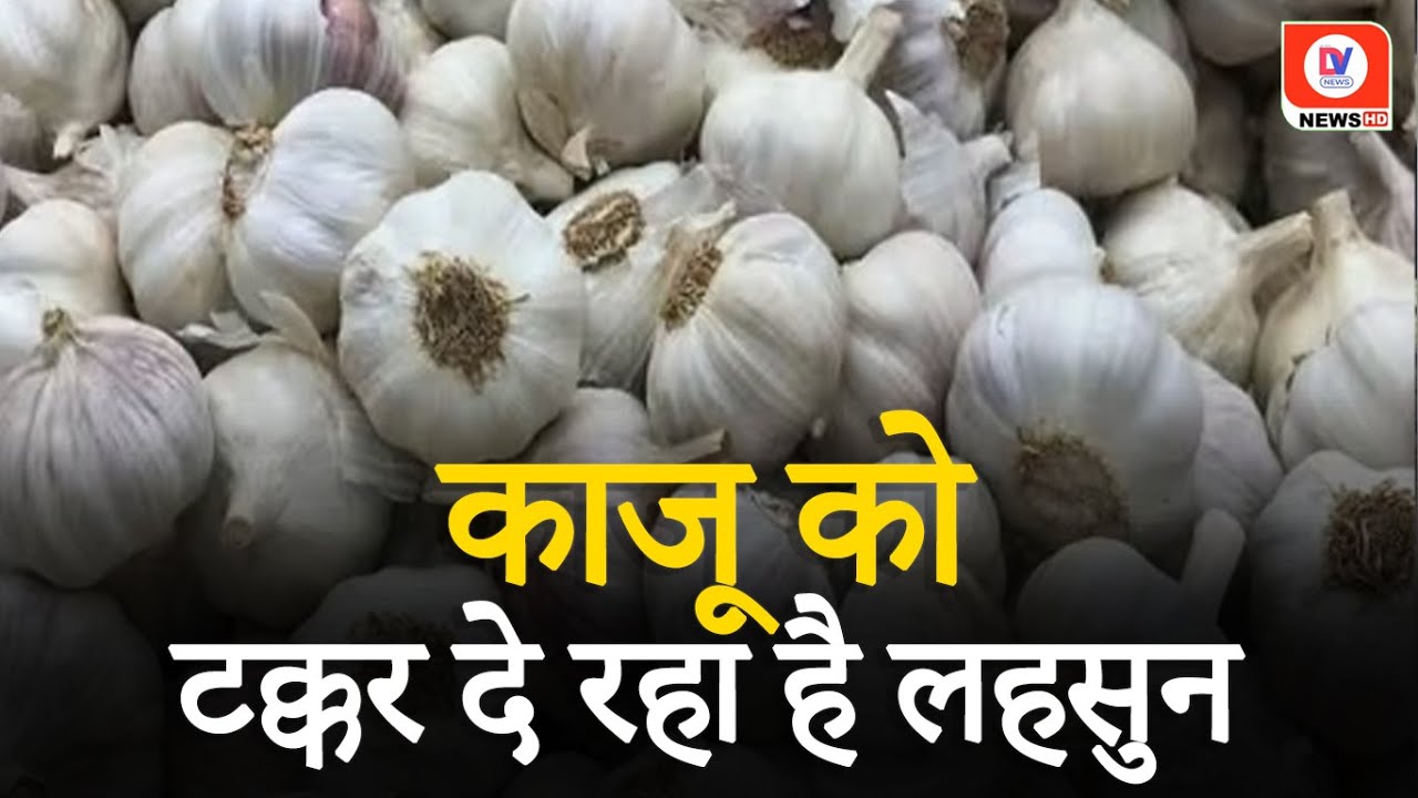 Garlic Price today: लहसुन के दामों में लगी आग, 600 के पार पहुंची कीमत