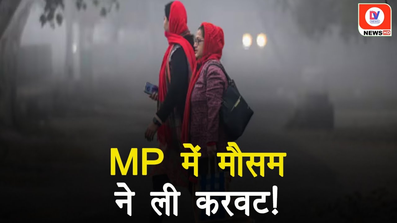 MP में गर्मी, ठंड-बारिश का Trend, February महीने में कैसा रहेगा मौसम का मिजाज