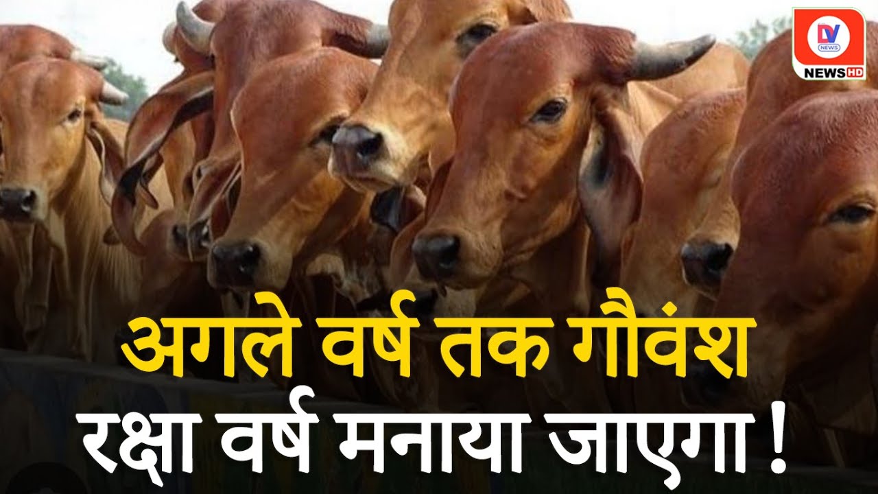 गौ रक्षा संवाद कार्यक्रम में CM Mohan Yadav द्वारा की गई प्रमुख घोषणाएं, जाने पूरी खबर