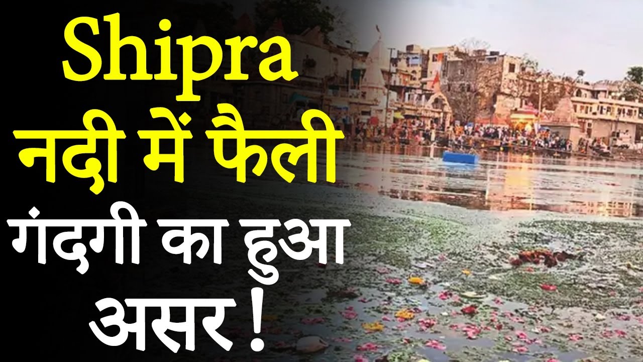 Ujjain Viral News: Shipra नदी किनारे मरी मछलियों के ढेर, बदबू से श्रद्धालु परेशान